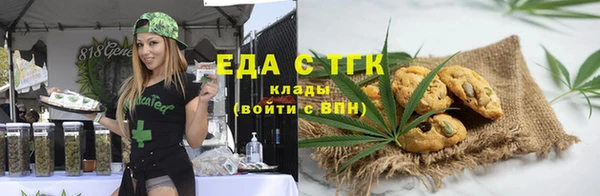 хмурый Аркадак