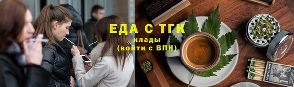 хмурый Аркадак