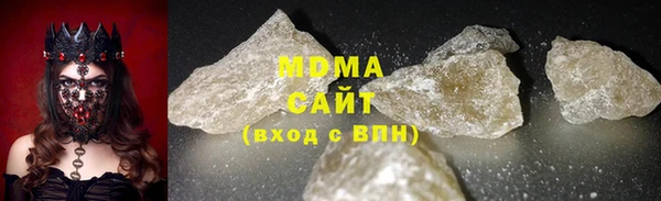 хмурый Аркадак