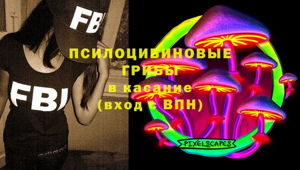 МДПВ Лиски