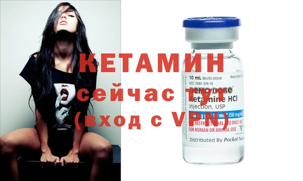 хмурый Аркадак