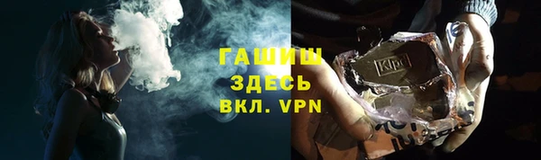хмурый Аркадак