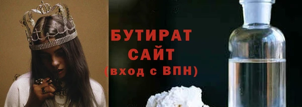 хмурый Аркадак