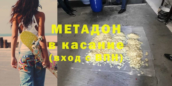хмурый Аркадак