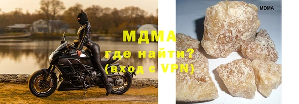 хмурый Аркадак