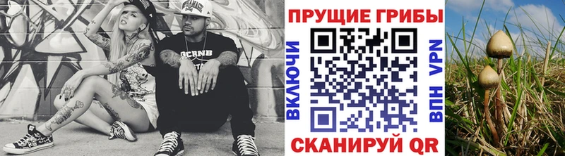 закладки  блэк спрут как войти  Псилоцибиновые грибы Psilocybine cubensis  Каспийск 
