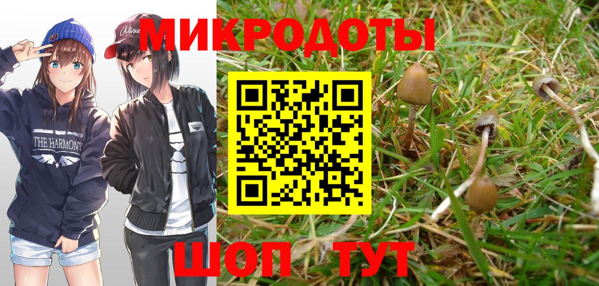 Каспийск  как найти наркотики  Вход с VPN  Галлюциногенные грибы Cubensis 