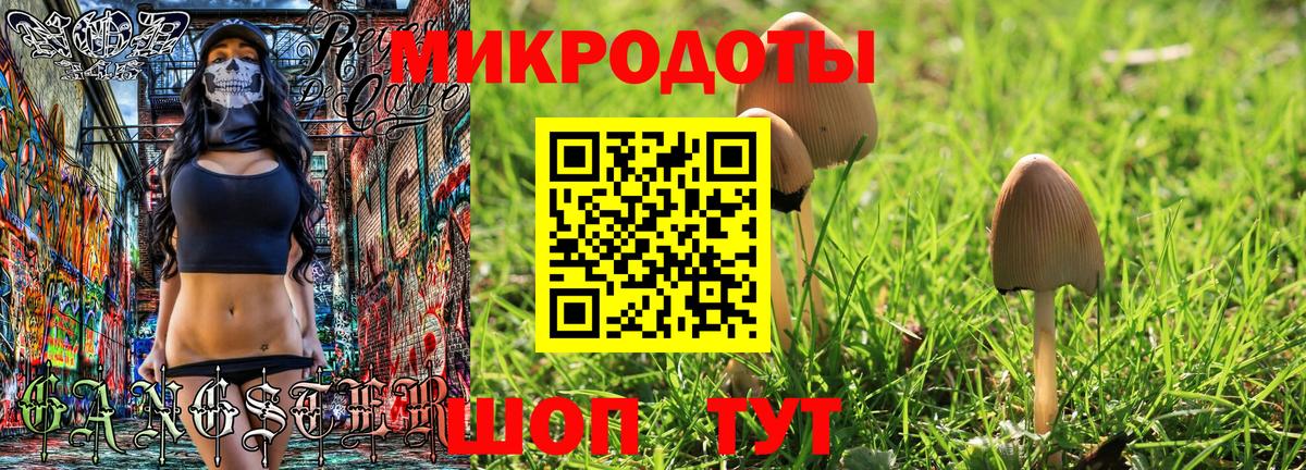 Псилоцибиновые грибы прущие грибы Каспийск